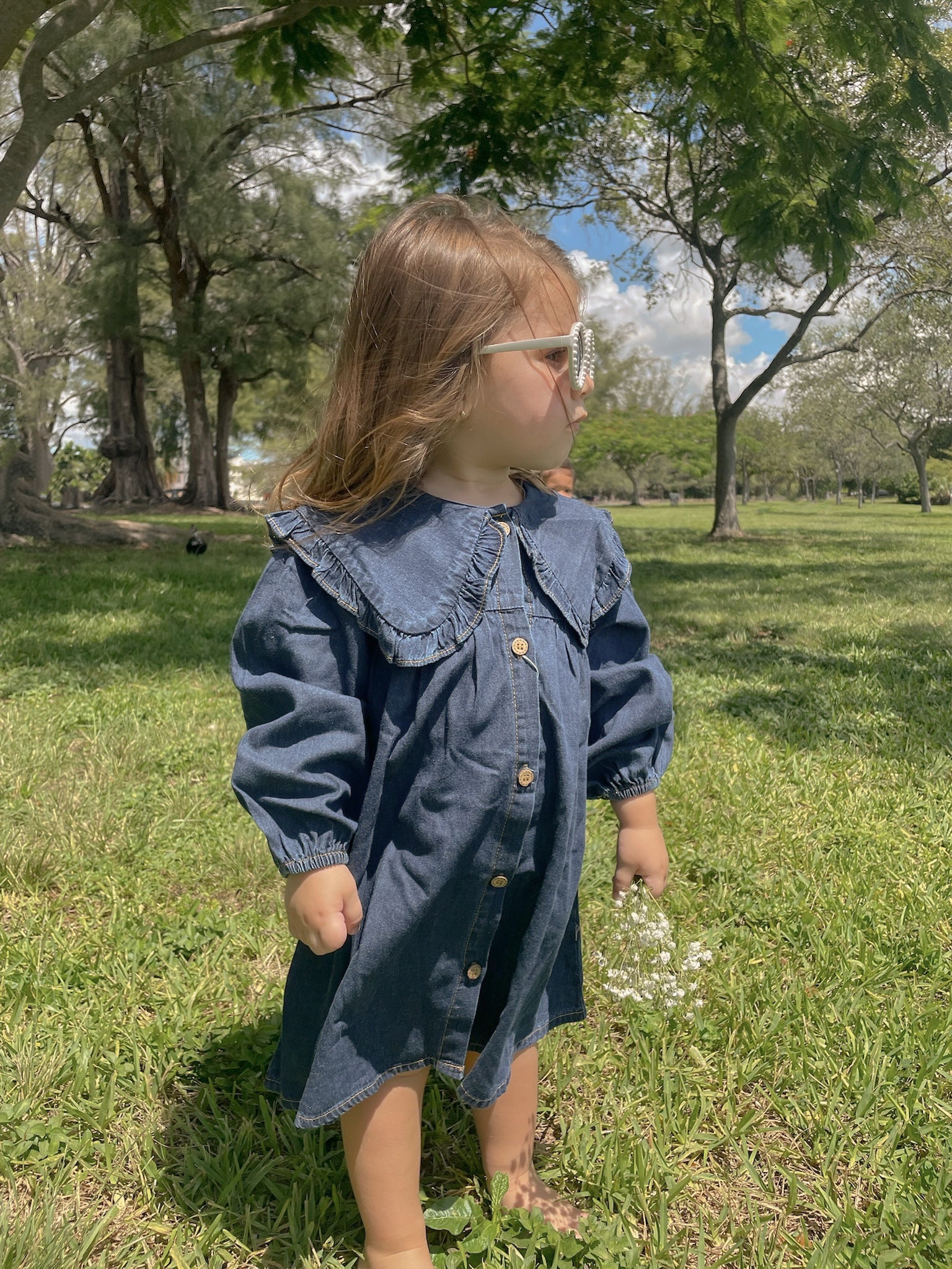 Indigo Dream Denim Dress