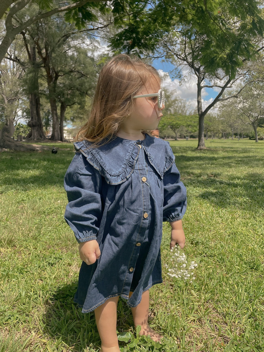 Indigo Dream Denim Dress